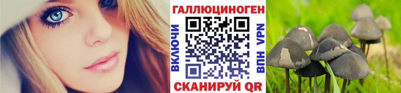 Псилоцибиновые грибы Magic Shrooms  Купить закладки  Вяземский 